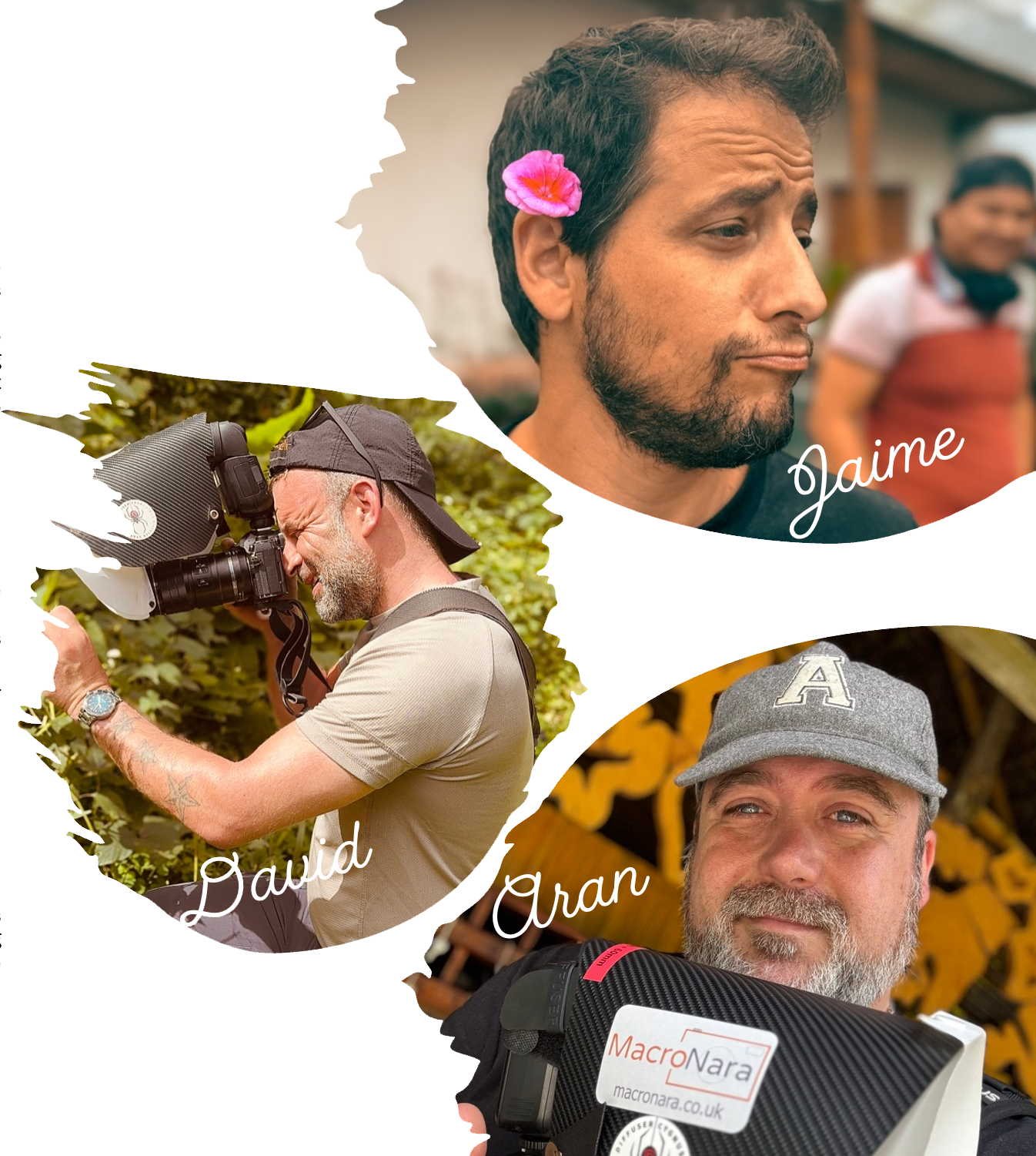 The Team - David, Aran, Jaime